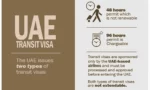 How to Apply for Transit Visa in UAE